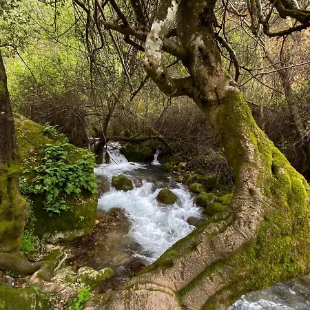 Hébergement de vacances Dima Vivienda Turistica El Bosque (Cadiz)