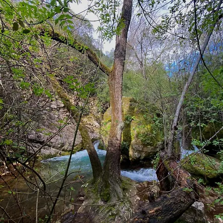 Dima Vivienda Turistica El Bosque (Cadiz)
